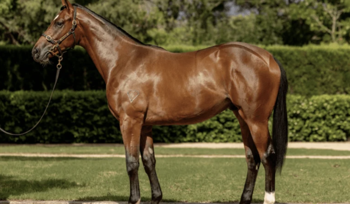 I Am Invincible 2yr old Shares